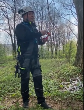 Hogyan tudsz biztonságosan alpintechnika segítségével felmenni egy fa lombkoronájához? Mutatjuk!
